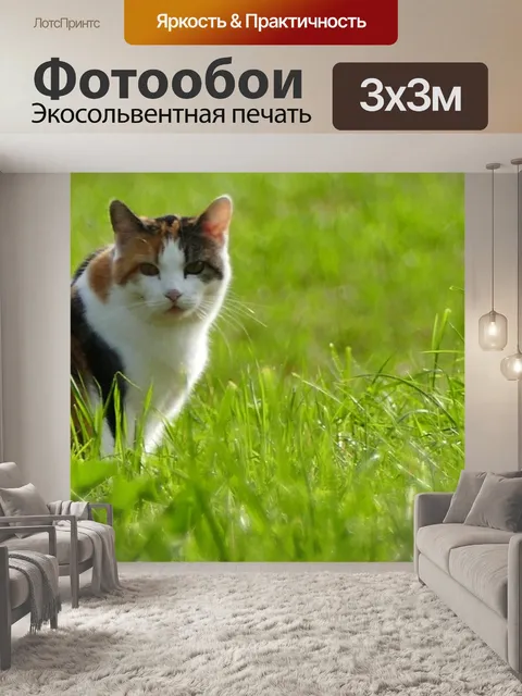 Фотообои Природа