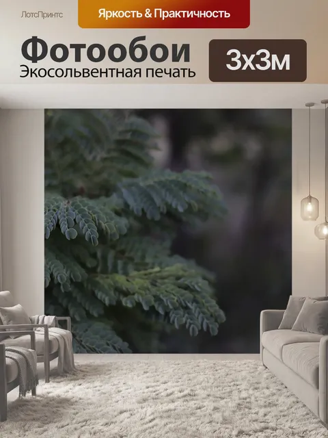 Фотообои Листья