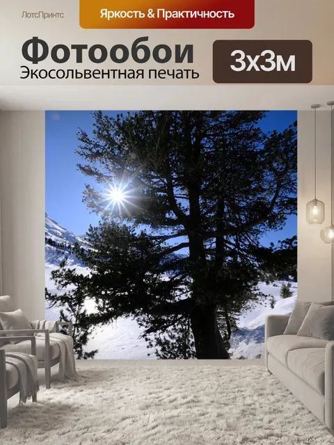 Фотообои Сосны