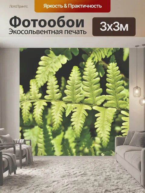 Фотообои Папоротник