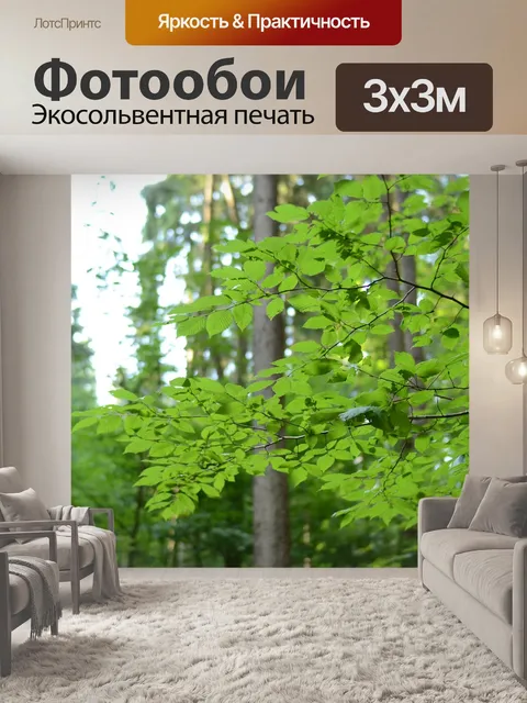 Фотообои Лес
