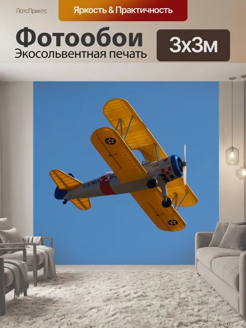 Фотообои Военная птица