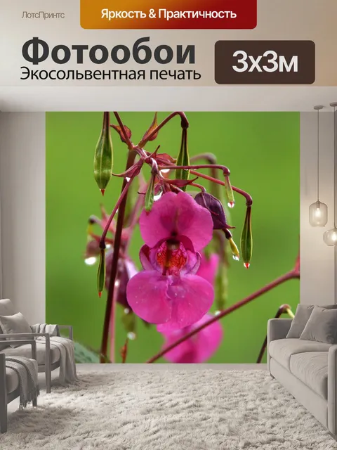 Фотообои Японский весенний цветок цветок цвести