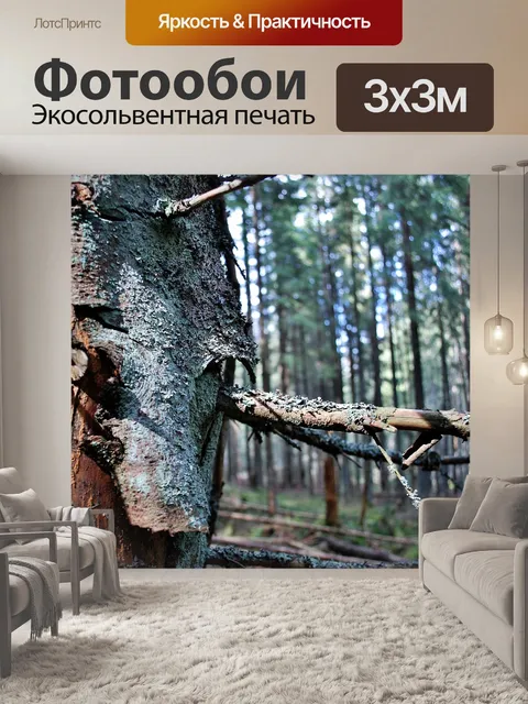 Фотообои Дерево