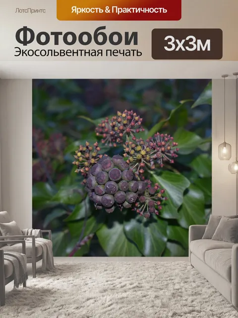 Фотообои Природа