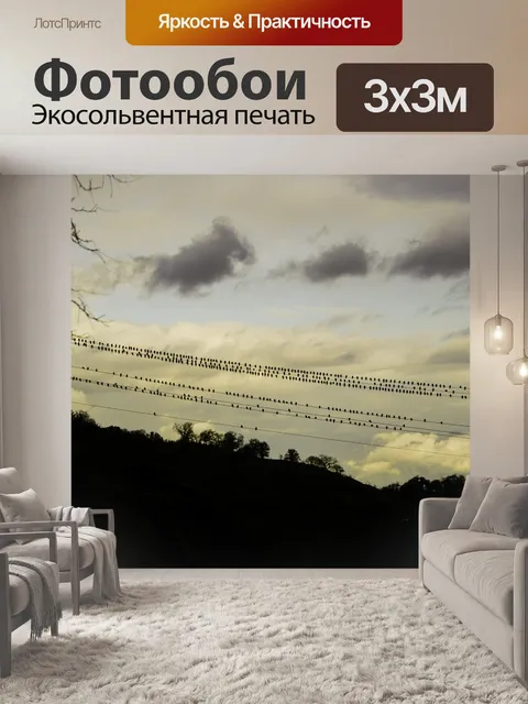Фотообои Птицы