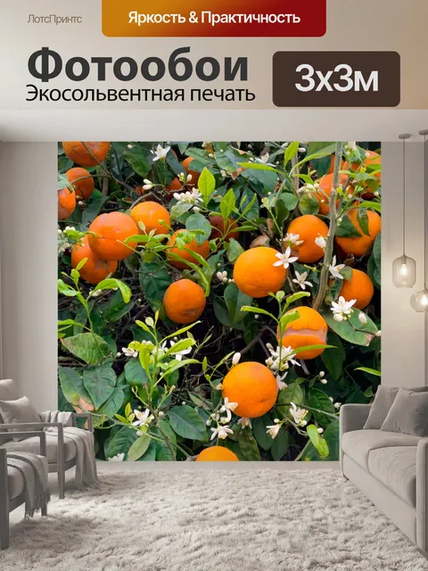 Фотообои Цветение апельсинового дерева