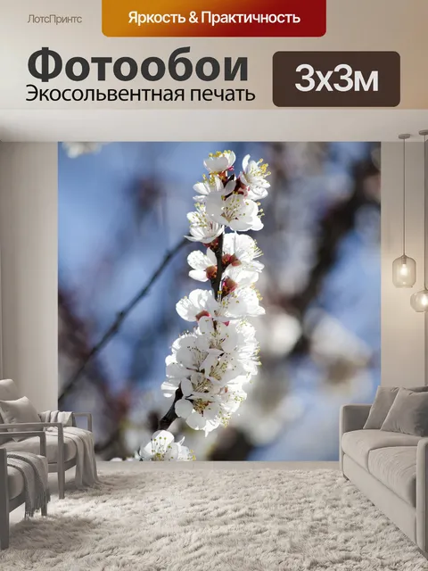 Фотообои Весна