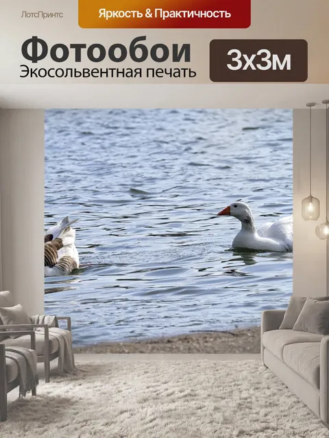 Фотообои Гуси