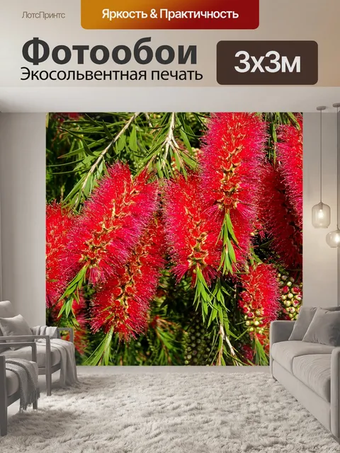 Фотообои Красная и зеленая флора