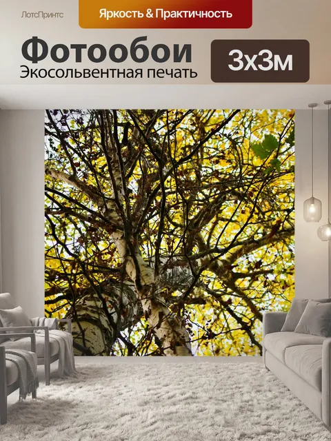 Фотообои Ветви