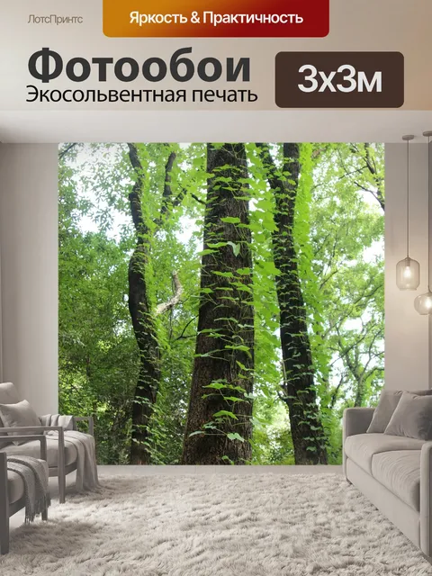 Фотообои Дерево