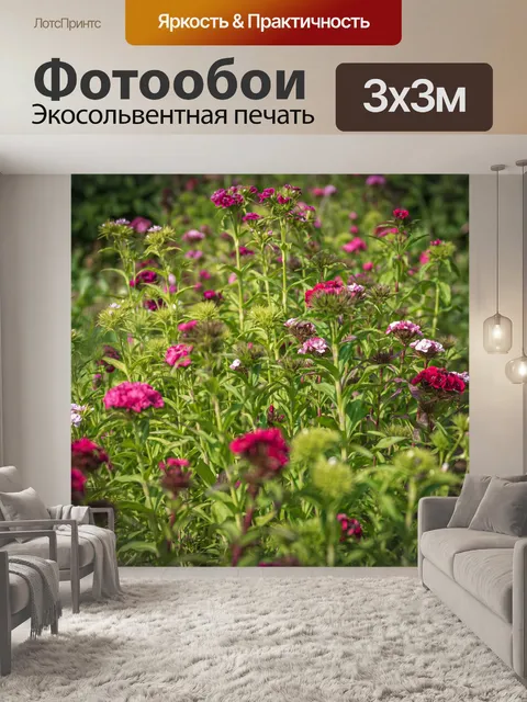 Фотообои Луг