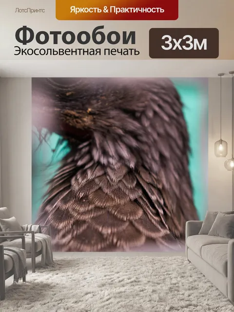 Фотообои Птица
