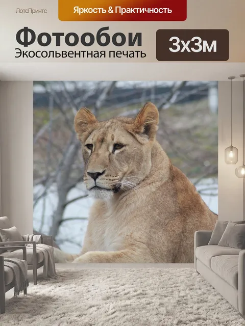 Фотообои Львица
