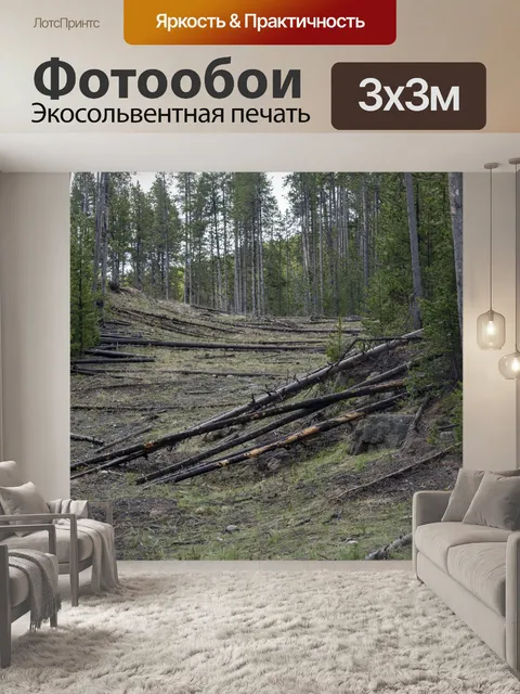 Фотообои упавшие деревья