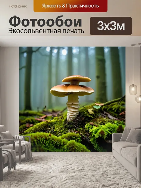 Фотообои грибы грибница в лесу, окруженные мхом и лишайниками, утопающие в утреннем тумане