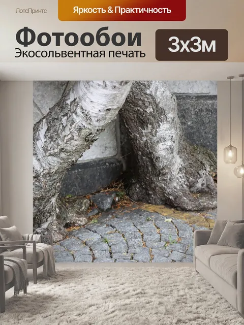 Фотообои Береза
