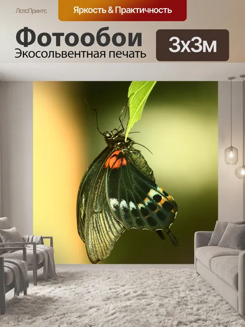 Фотообои Бабочка