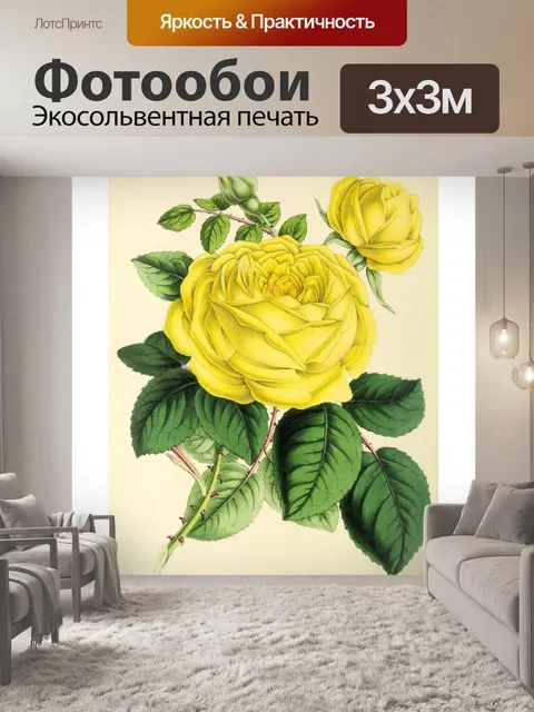 Фотообои Искусство иллюстрации садовых цветов