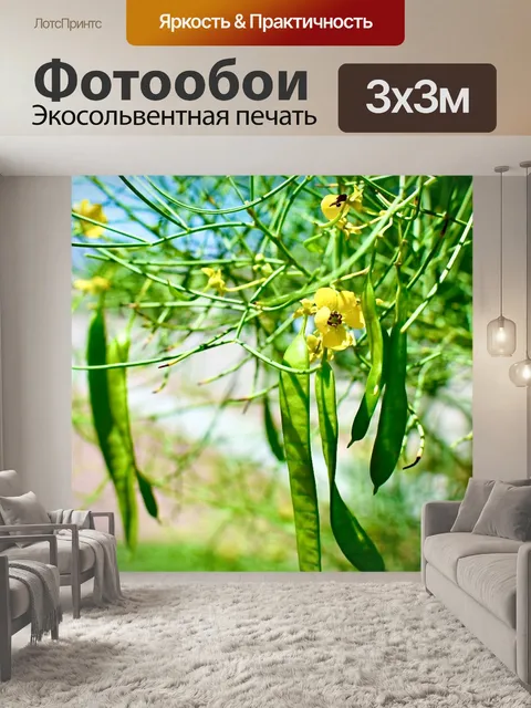 Фотообои Цветок