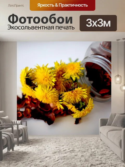Фотообои Одуванчики