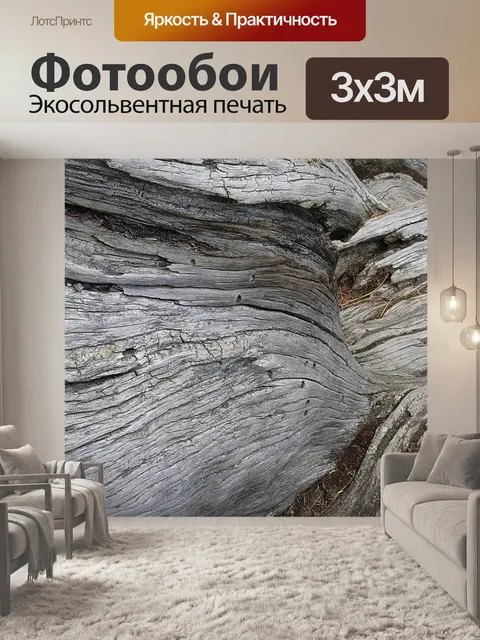 Фотообои Корень