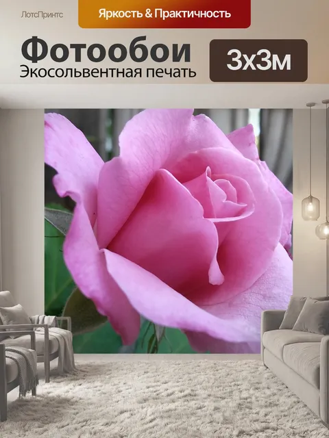 Фотообои Роза