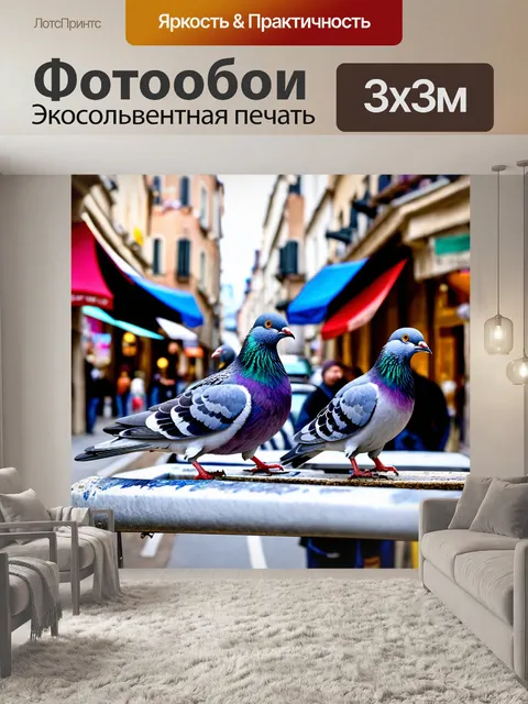 Фотообои художник, рисующий голубей в городе