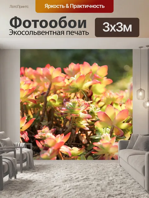 Фотообои Цветы