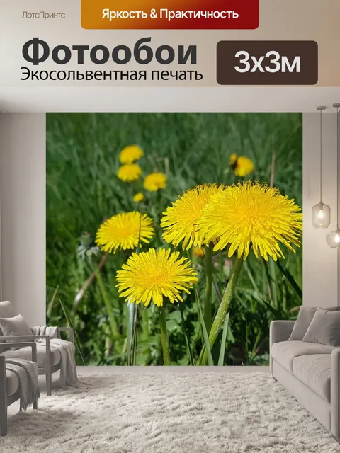 Фотообои Одуванчик