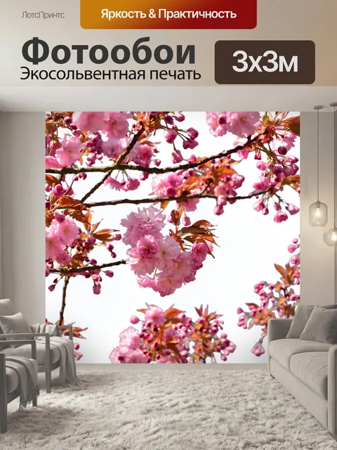 Фотообои Сакура японский