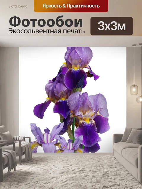 Фотообои Ирис
