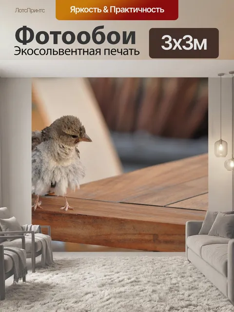 Фотообои Птица