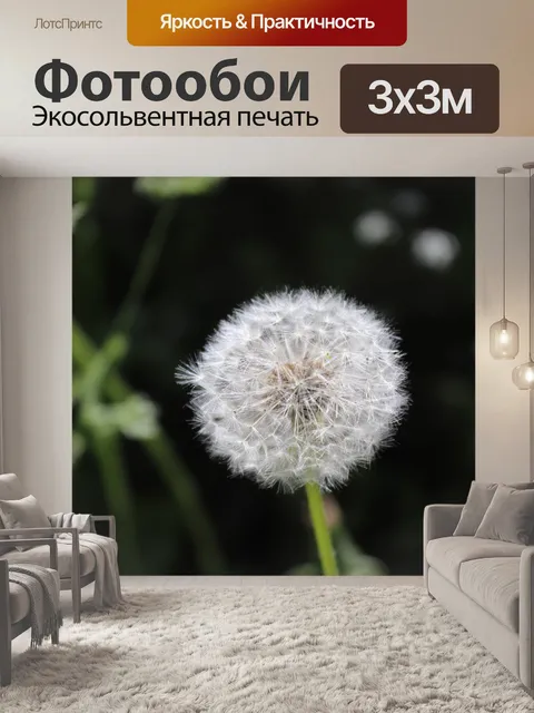 Фотообои Цветок