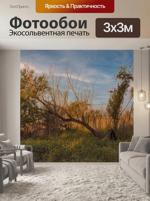 Фотообои Природа
