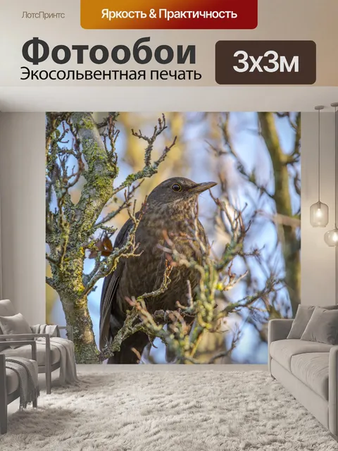 Фотообои Женская черная птица