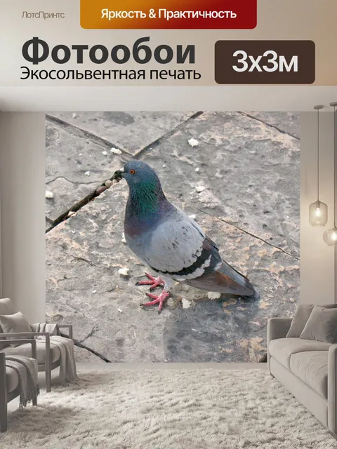 Фотообои Птица