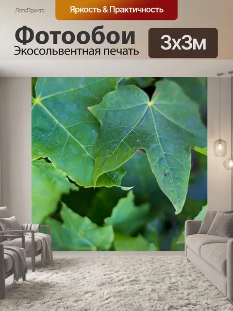 Фотообои Листья