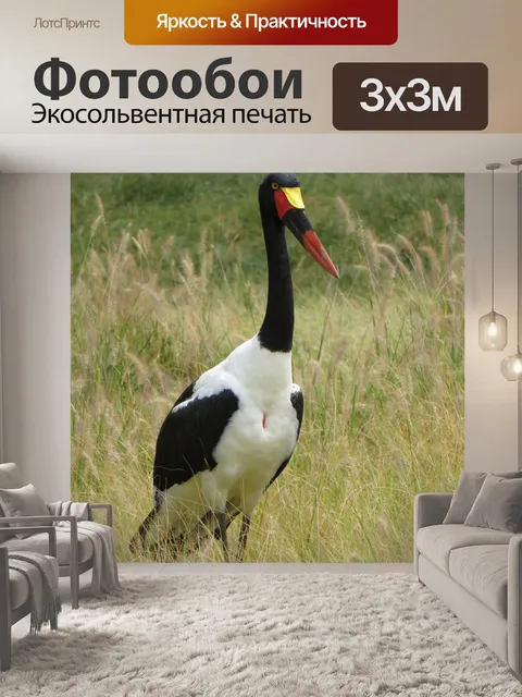 Фотообои Птица