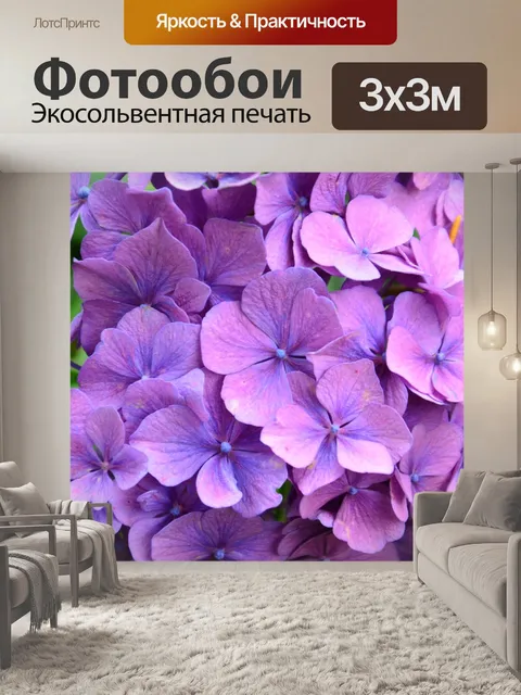 Фотообои Гортензии