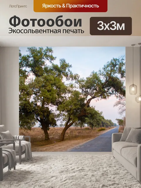 Фотообои Дорога