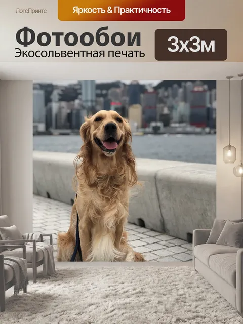Фотообои Гонконг