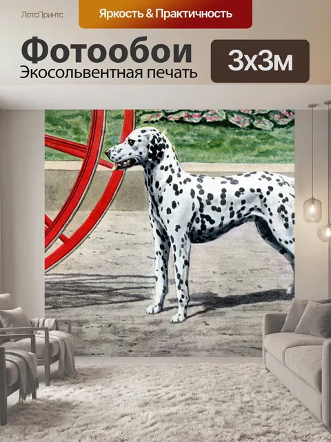 Фотообои Собака старинное искусство старый