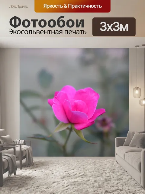 Фотообои Цветы
