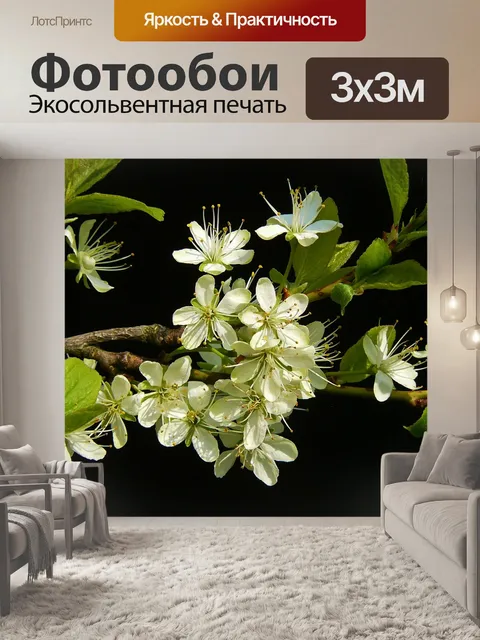 Фотообои Цветущая ветка