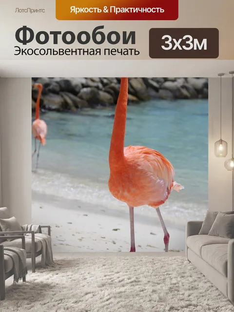 Фотообои Фламинго