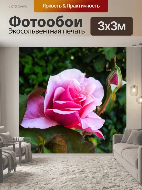 Фотообои Цветок