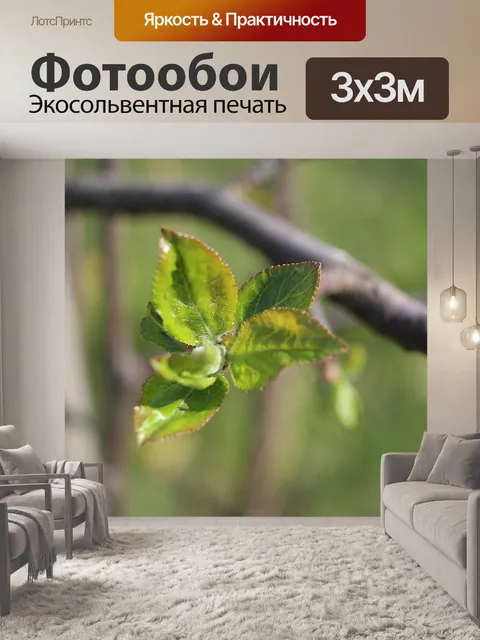 Фотообои Природа