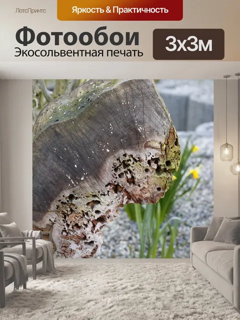 Фотообои Отель с насекомыми